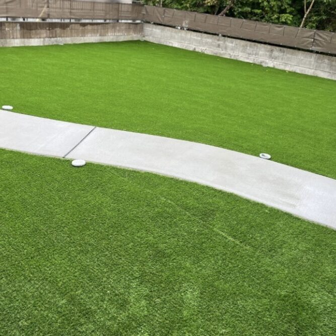 983DF245-3A84-412A-80DB-5FB98ABC457D